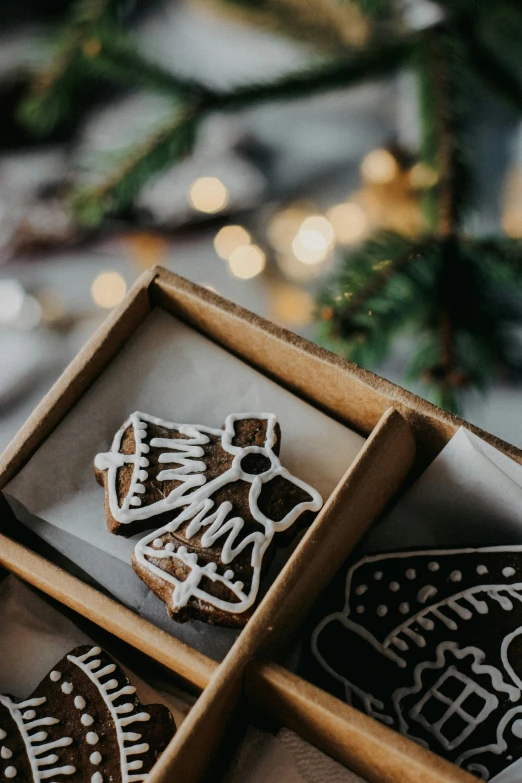 decorated cookies in a box near christmas trees