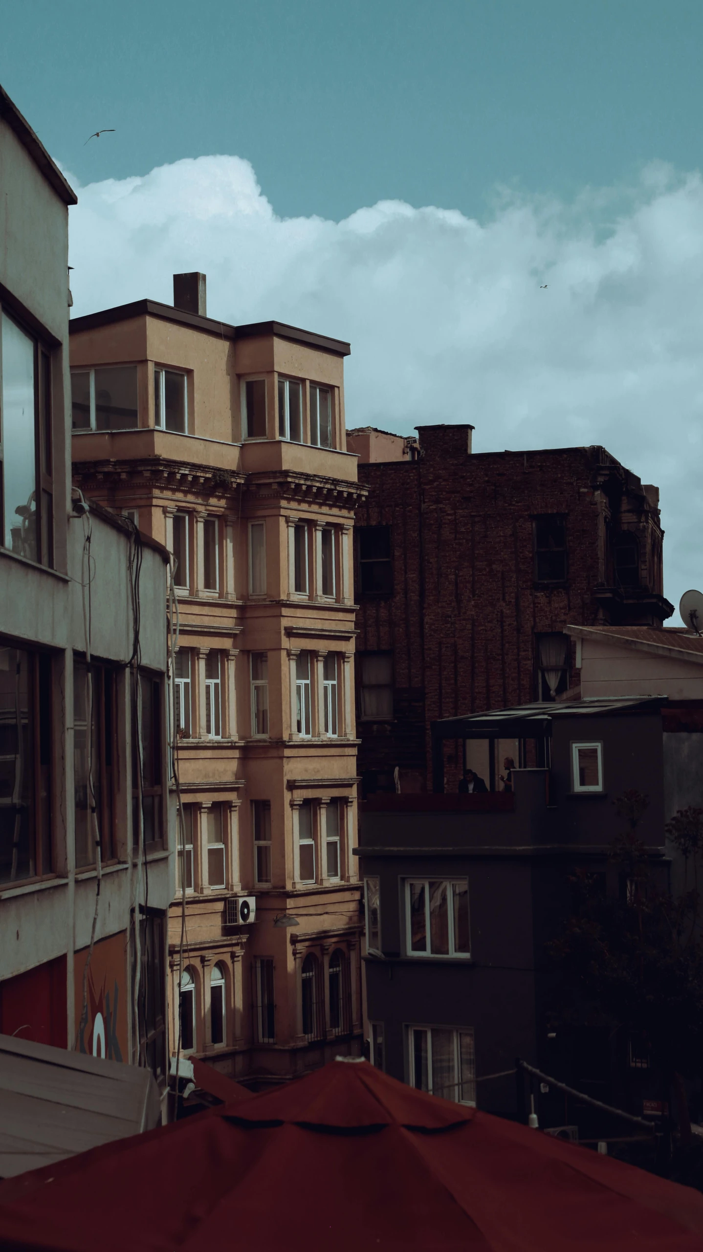 a bird flies by a building in an urban area