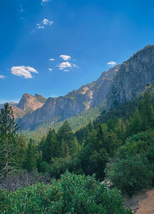 a view of a mountains and trees during the day