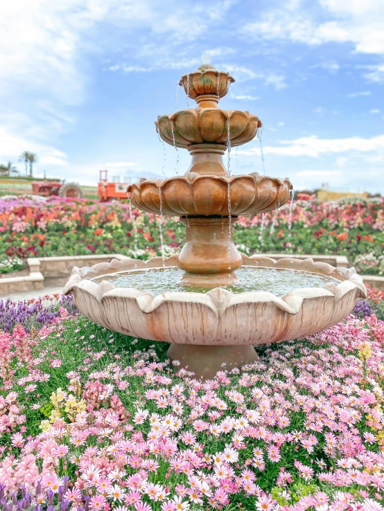 a water fountain with fountains inside a field of flowers