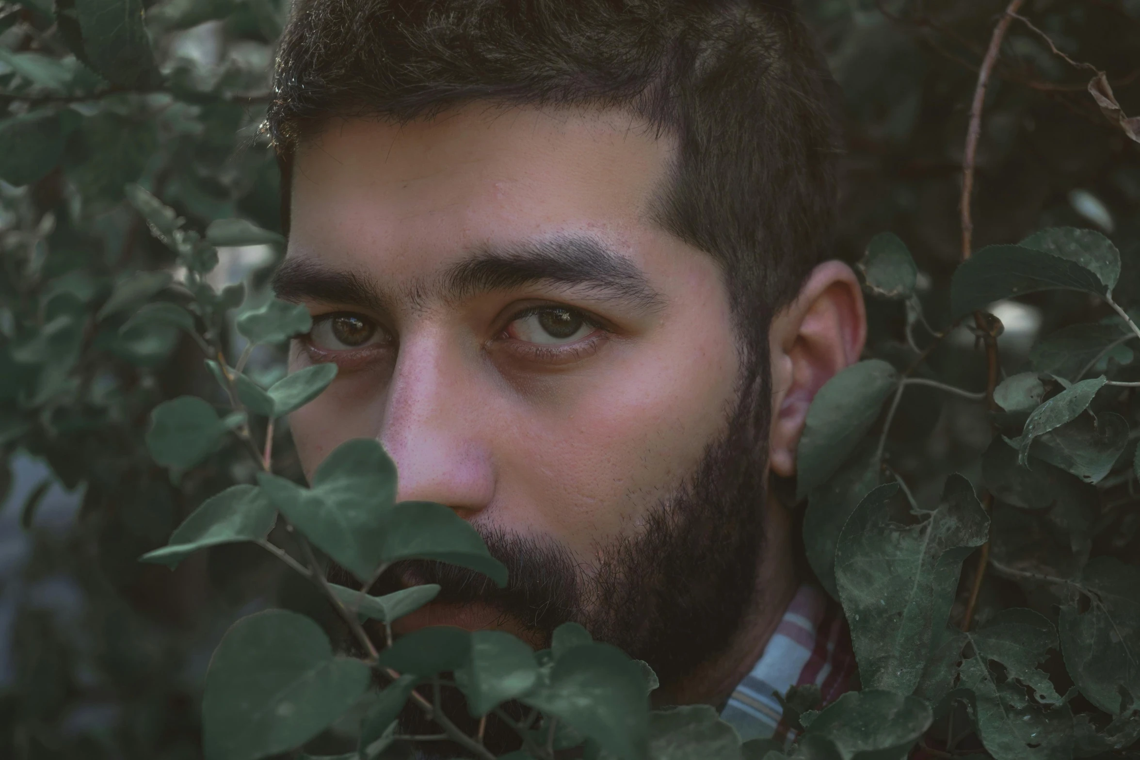 a man with a beard is looking into the camera