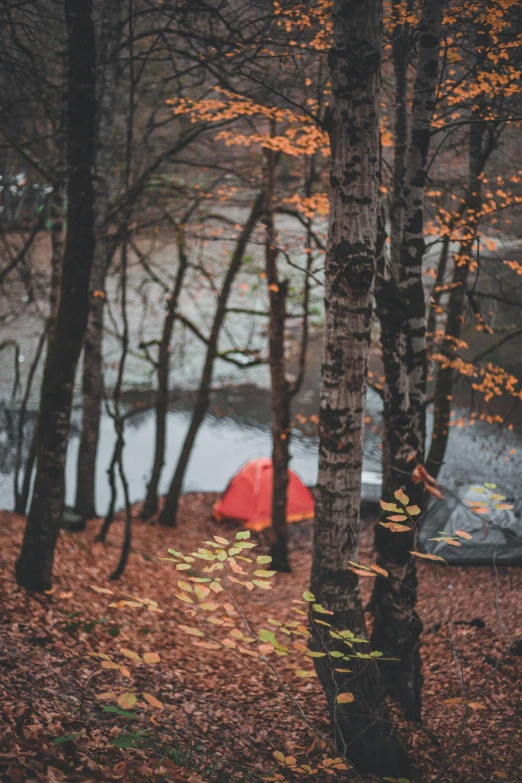 an orange tent nestled behind some trees and water