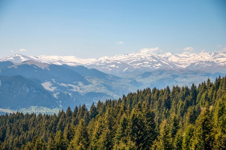 some trees are in the distance near some mountains