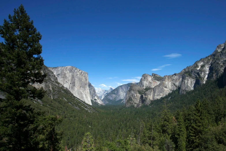 a mountain side with some trees in it