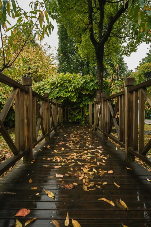 the tree is being covered with leaves at the end of this bridge