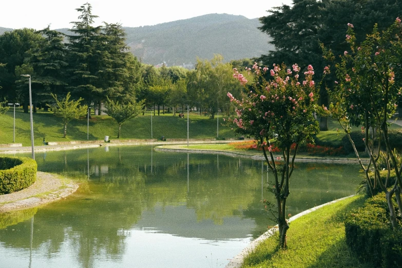 a pond in the middle of a park