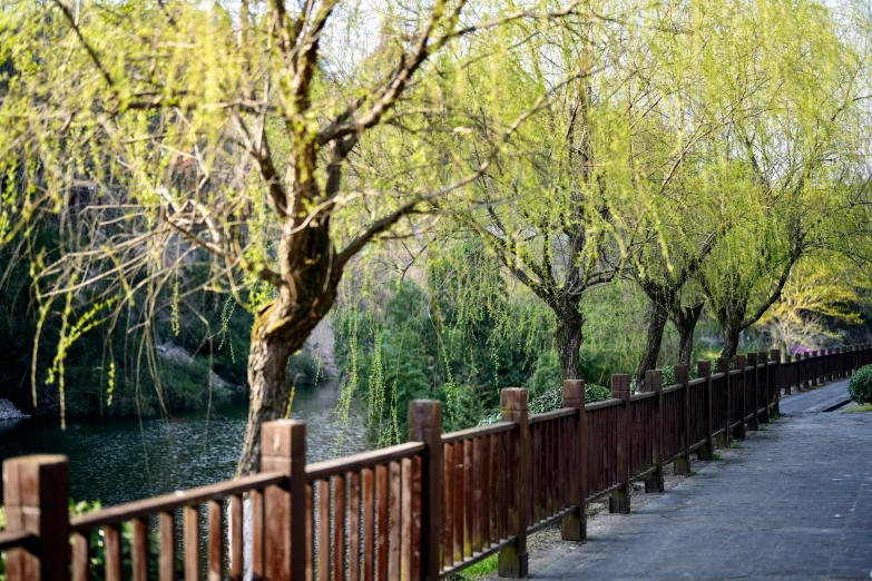 an alley leading to the water and park