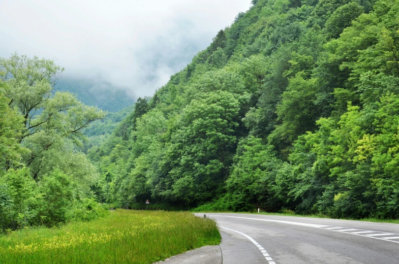 the road winds through the trees into the valley