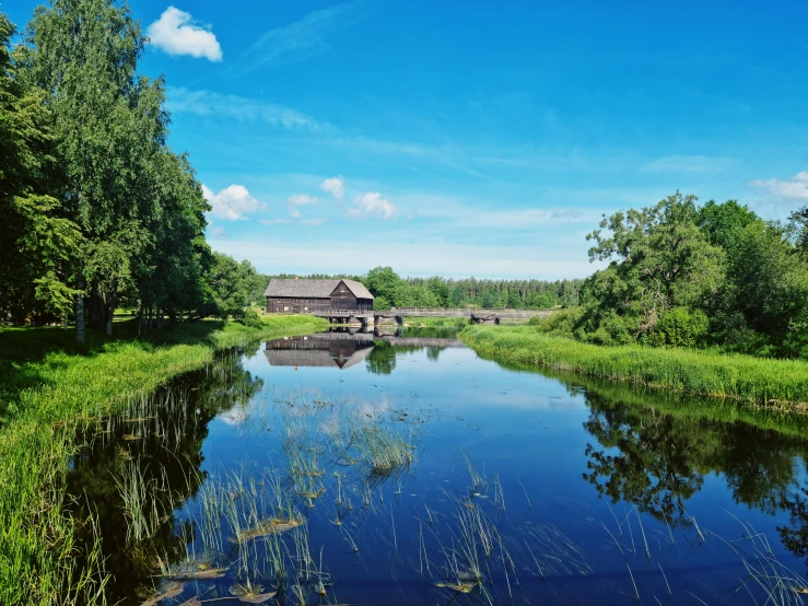 a pond that is on some grass with trees