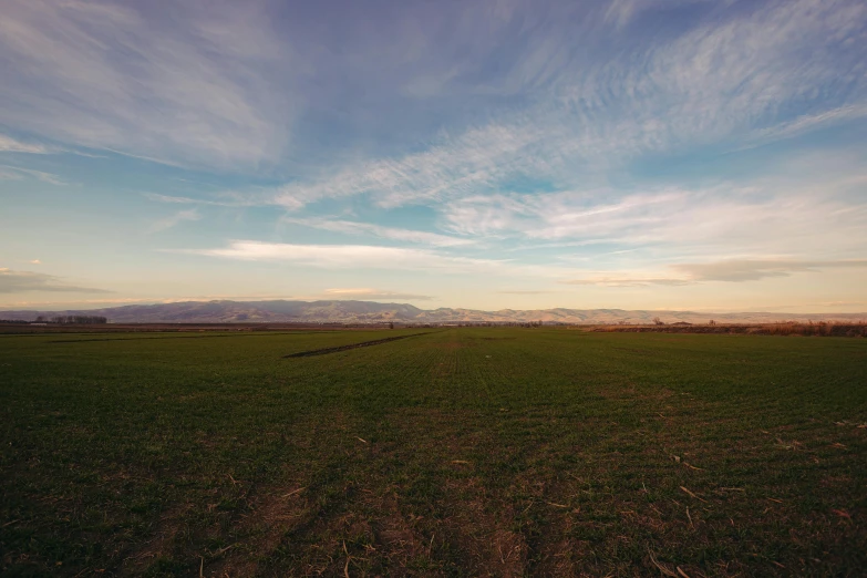 a field that has a sky and clouds above it