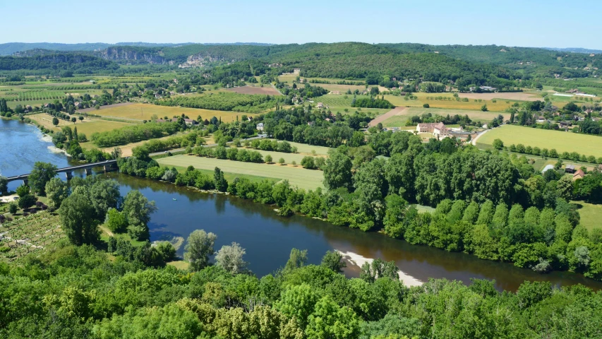 green trees surrounding a body of water