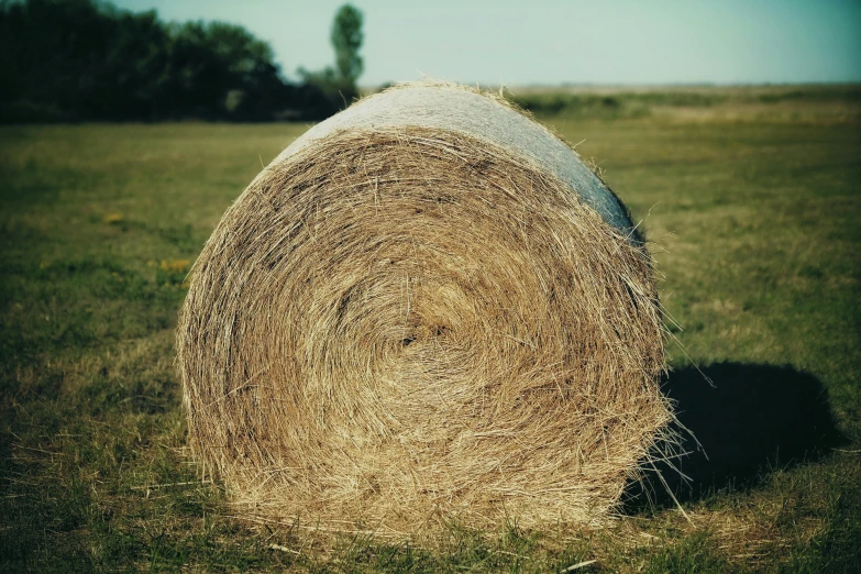 round hay bales in field on sunny day