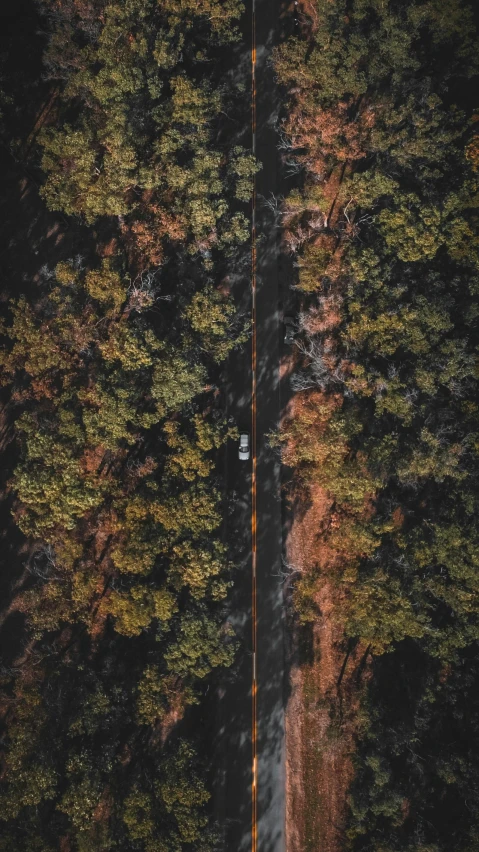 an overhead s of the road surrounded by trees