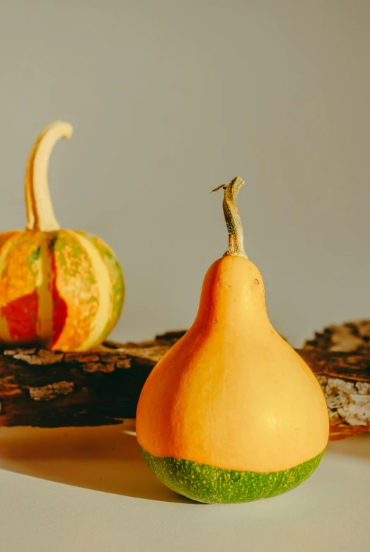 two gourds that have been turned into sculptures