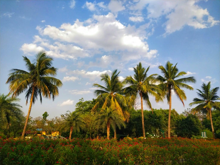 a few clouds in the sky are being seen over some palm trees