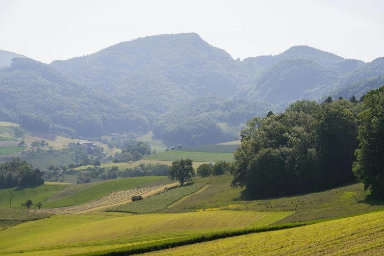 a grassy field surrounded by mountains under a cloudless sky