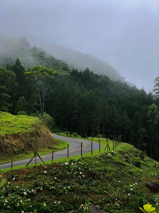 a hill with a road that is on the side and foggy forest