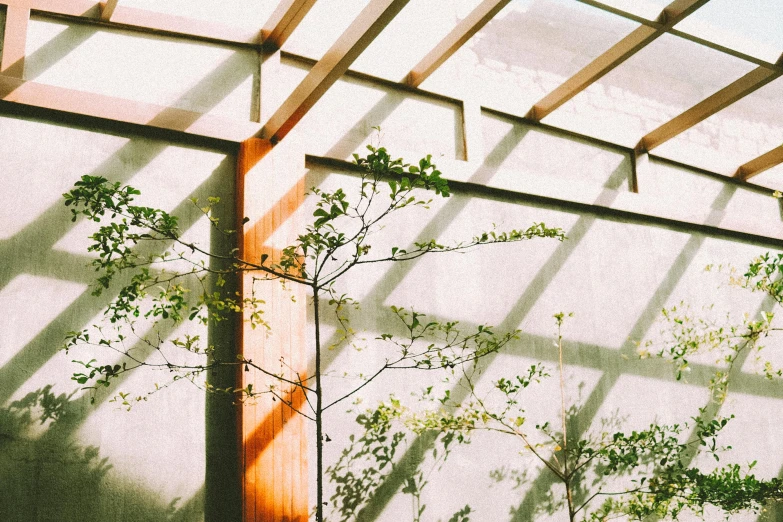 this po shows the shadow of a building's roof