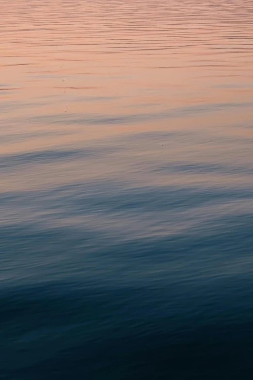 birds fly close to each other over water