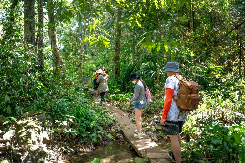 group of people hiking through woods on wooden walkway