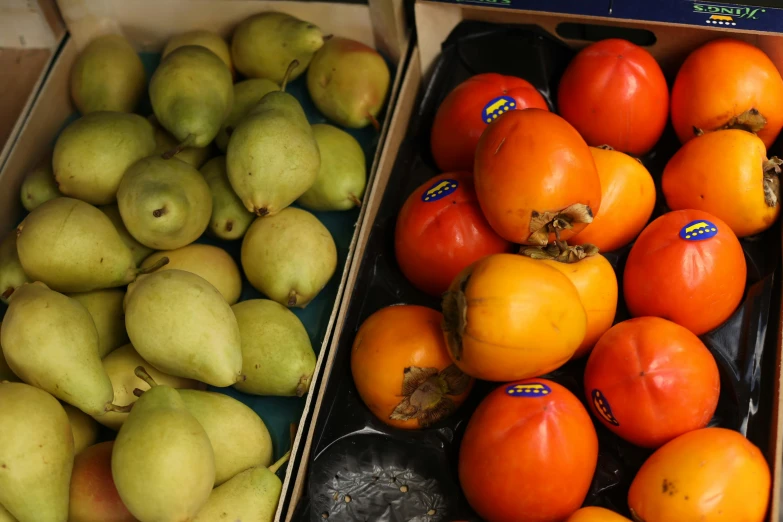 oranges, pears, apples and lemons sit side by side in boxes