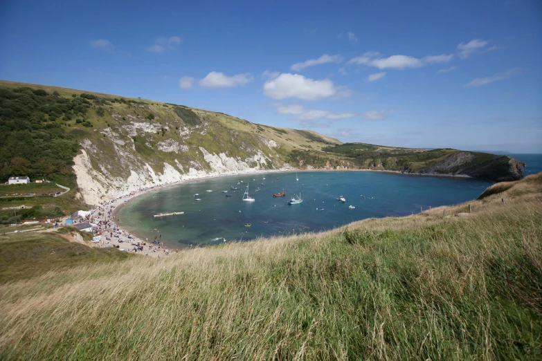 a group of people are on the beach by the ocean