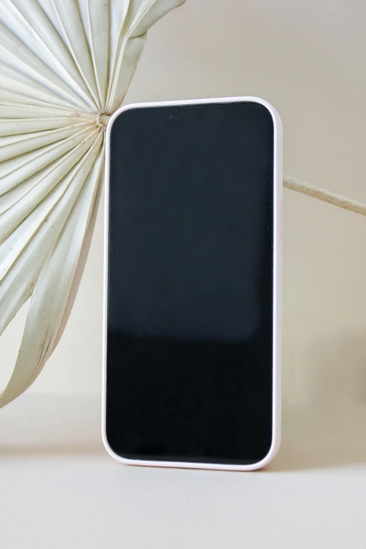 a white and black case sitting next to a palm leaf