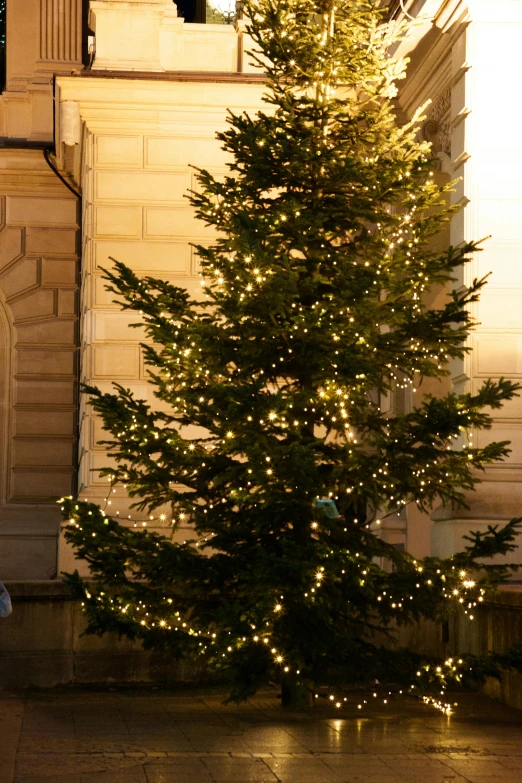 the large christmas tree in front of the tall building is lit with holiday lights