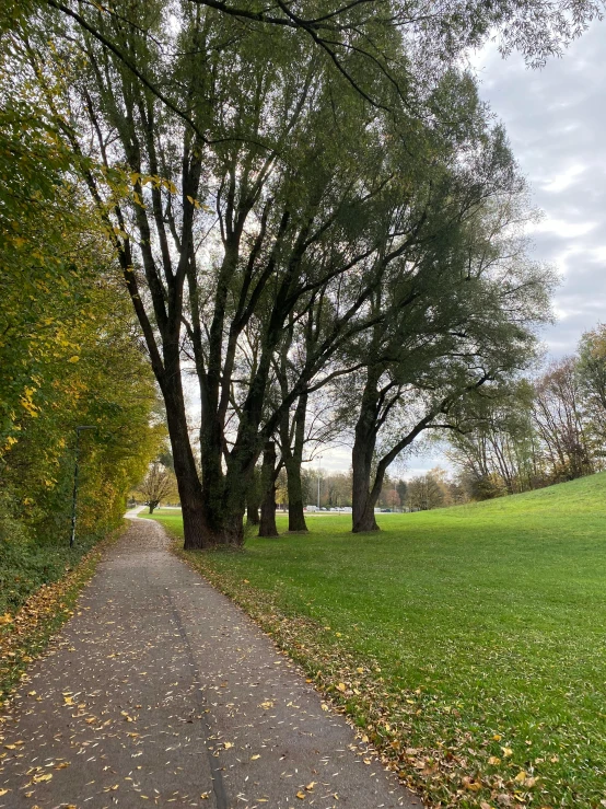 a road that is surrounded by lots of trees