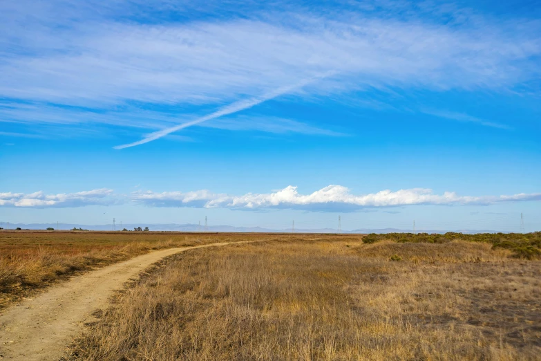 a road with dry grass and bare ground