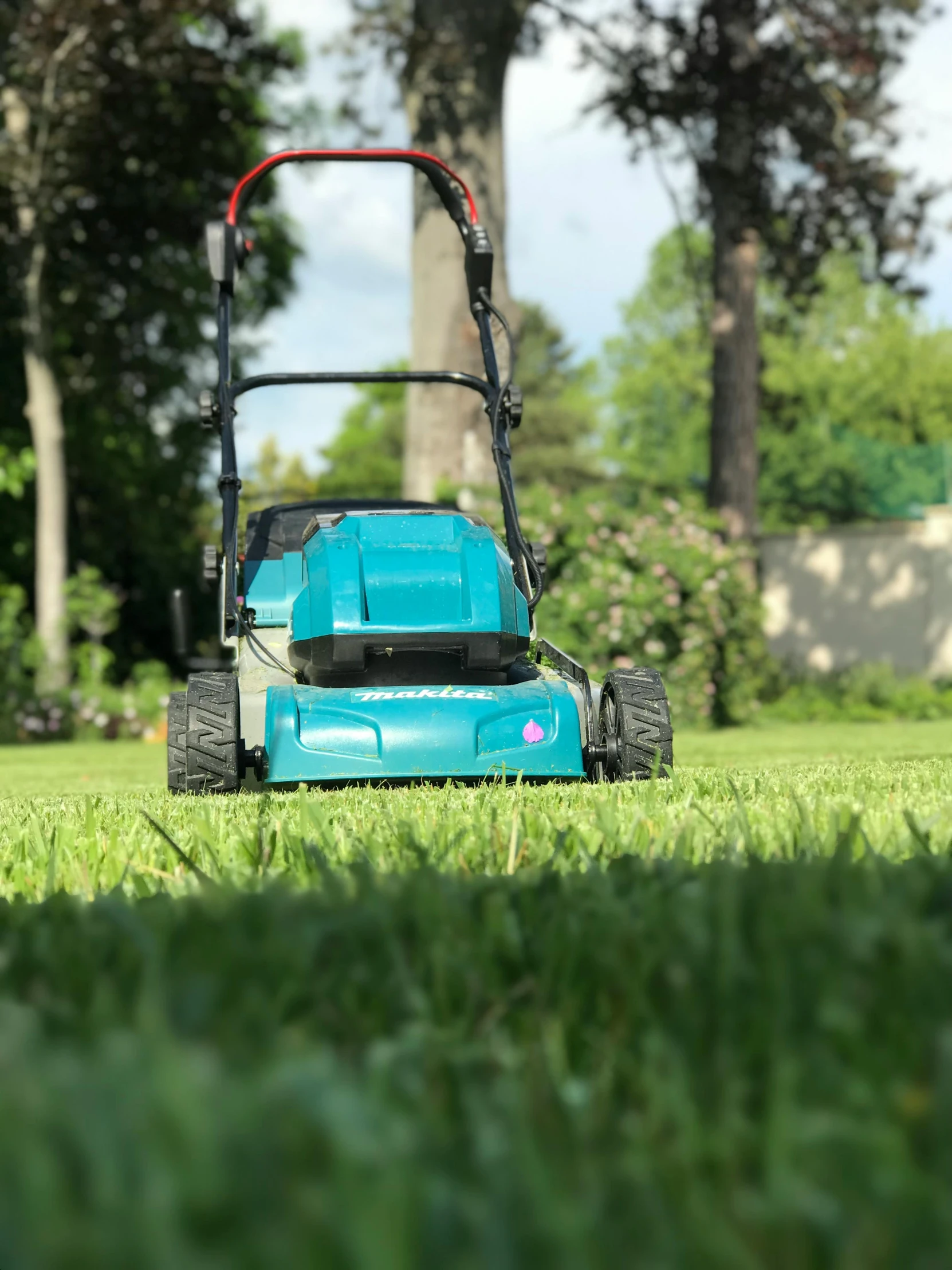 a blue lawn mower in the grass at a park