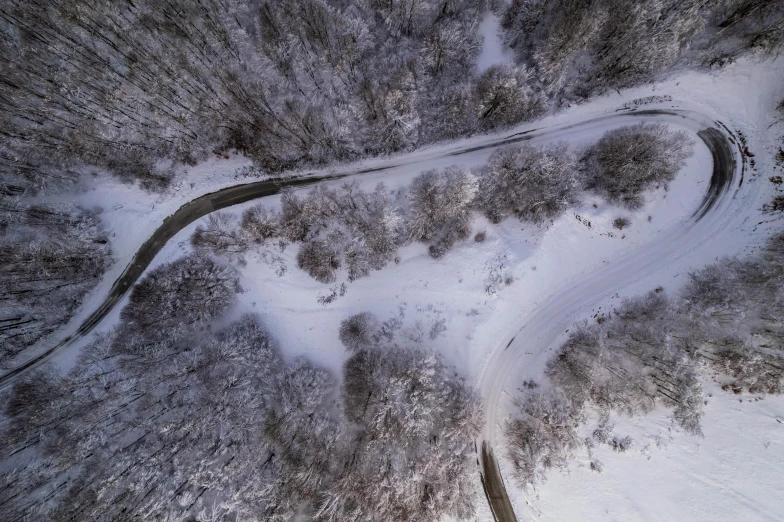 a snowy road leading into a wooded area