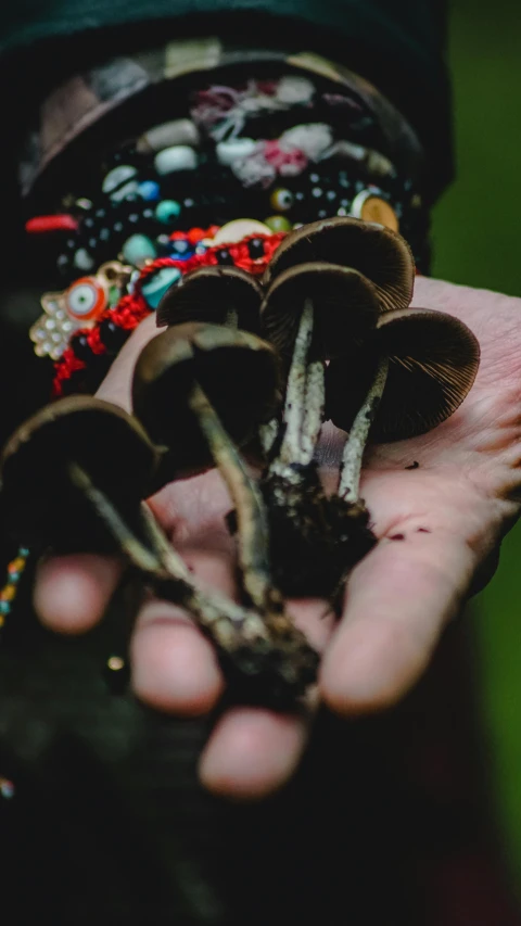 the hand is holding several pieces of animal jewelry