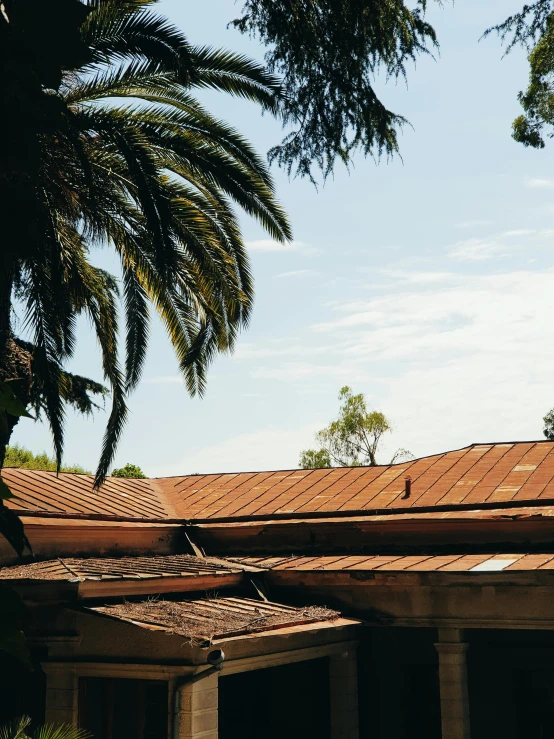 the house is next to the palm tree