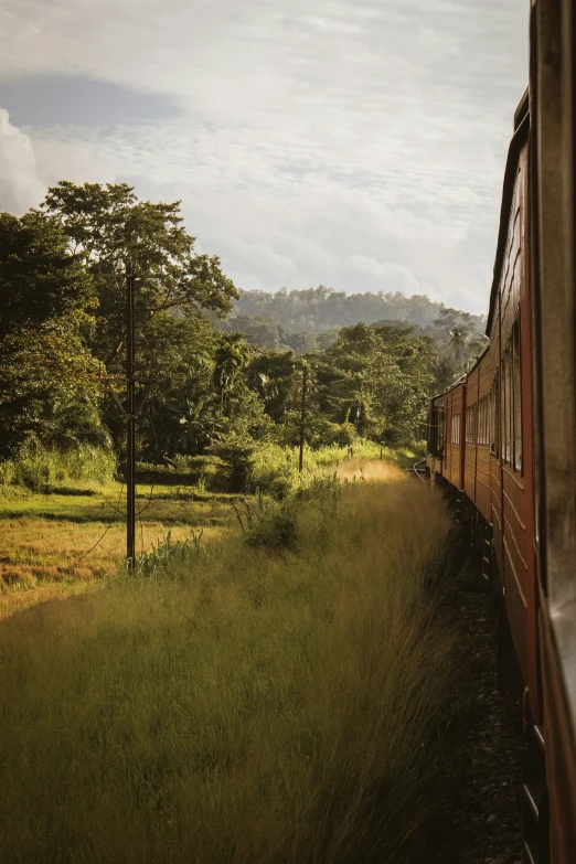 the view of a train on a grassy field