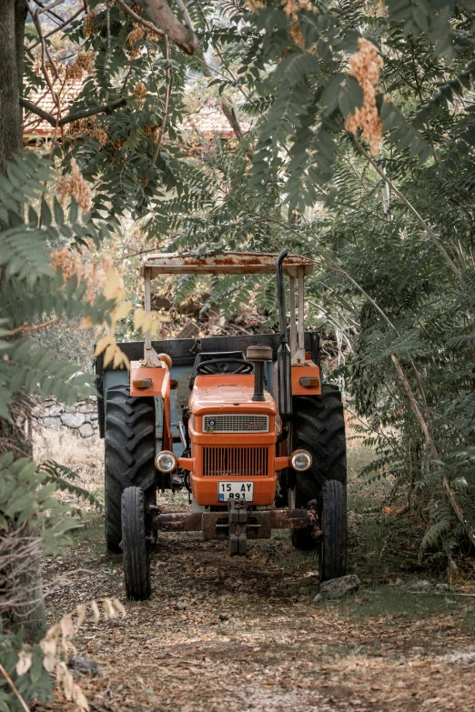 an old - fashioned tractor sits parked in the forest