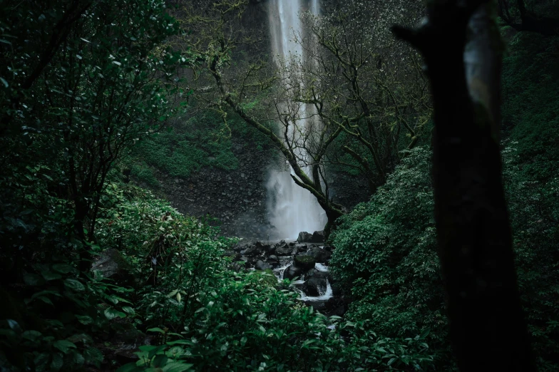 a large waterfall surrounded by lush vegetation