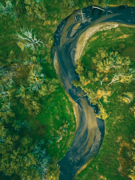 a very winding road through some trees in the middle of nowhere