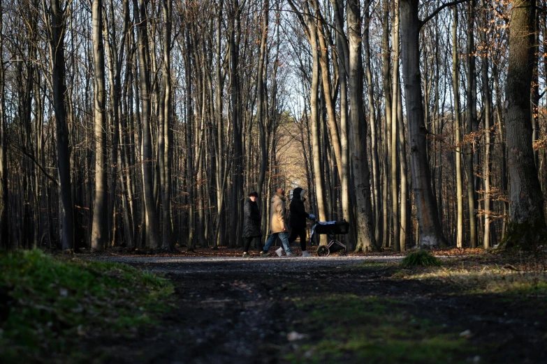 two people walking away from the camera in a wooded area