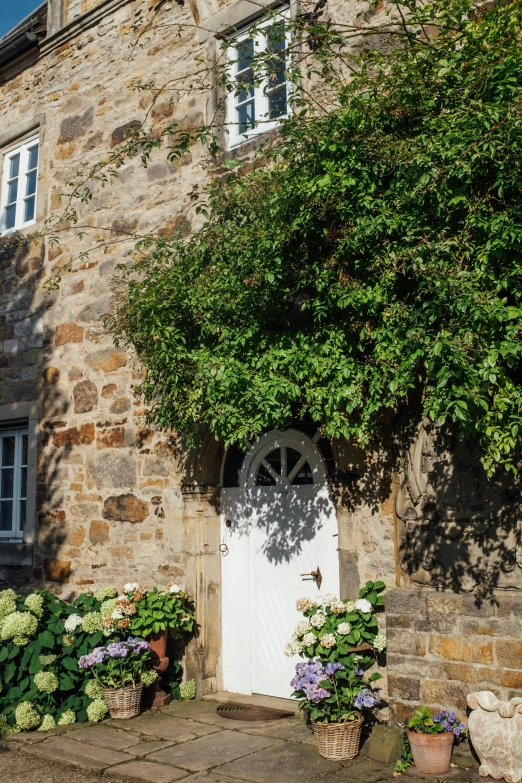 pots of plants and other flowers sit outside a house