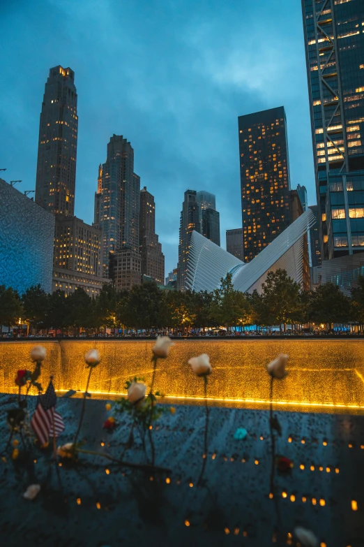 a few flowers are placed outside with some lights