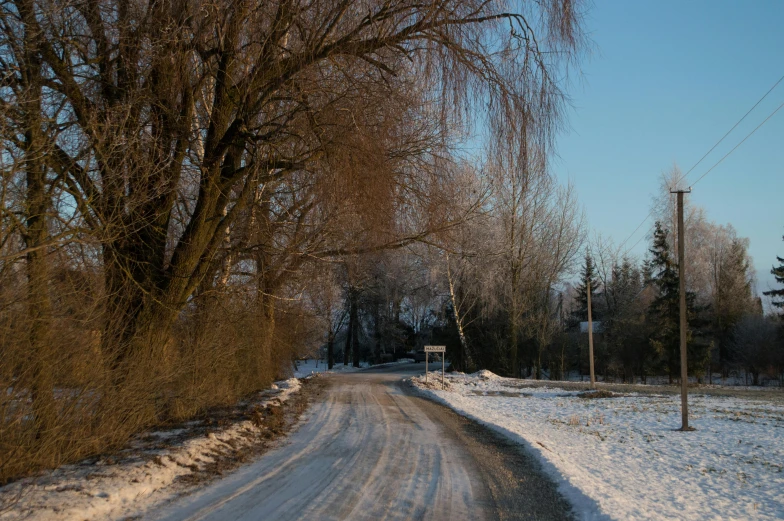 a dirt road lined with snow covered trees