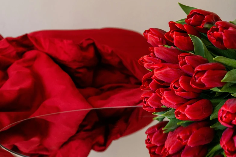 a close up view of red flowers and a blanket