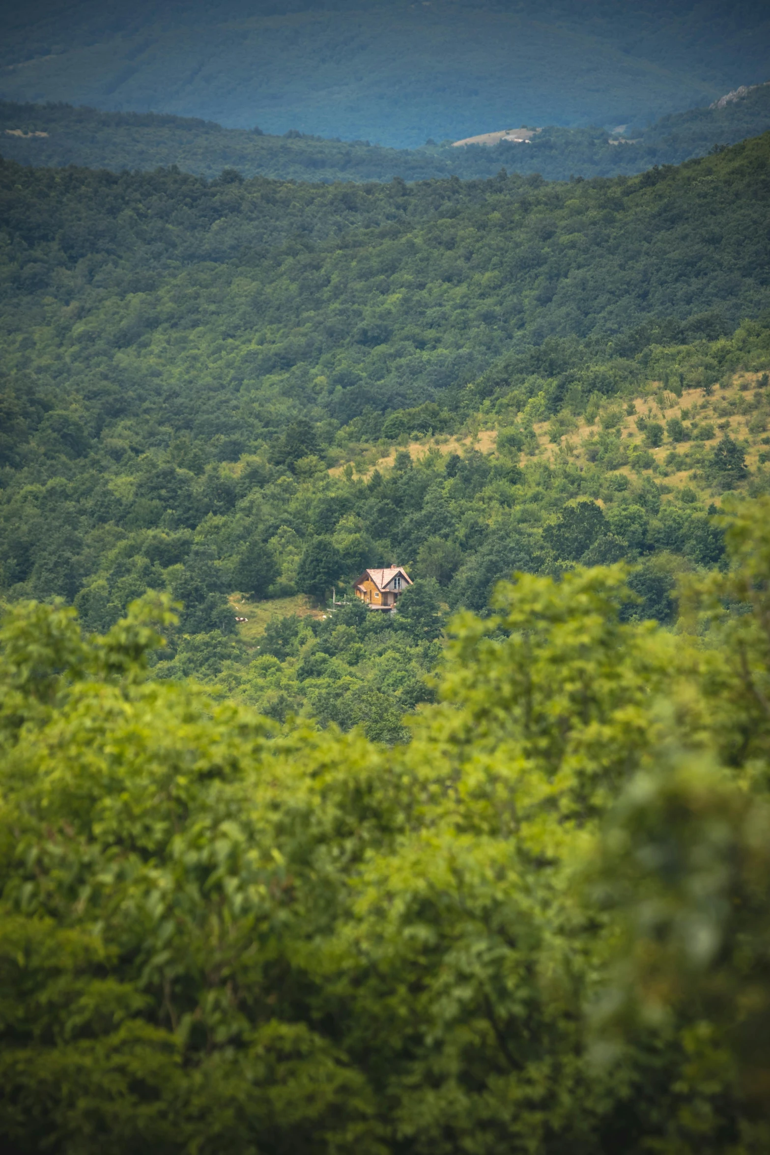 an open, grassy area in the middle of mountains