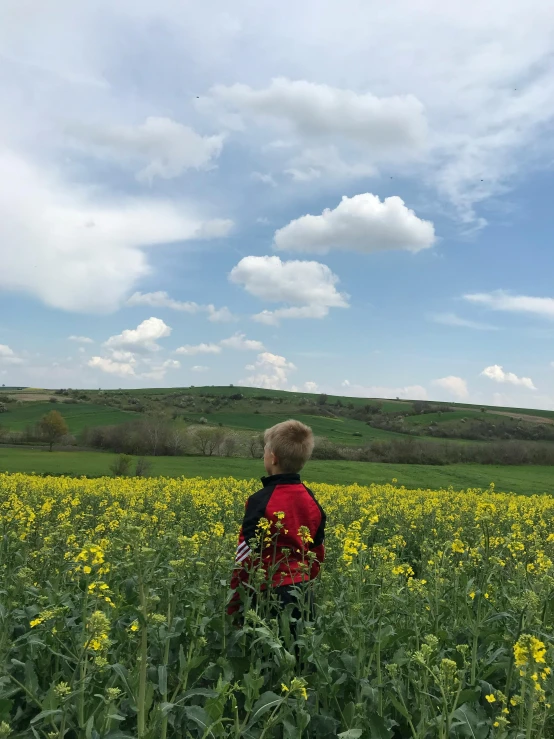 a person standing in a field of flowers with a kite