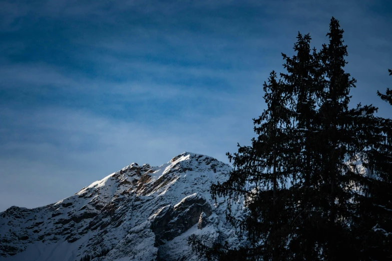 snow covered mountain with some very tall trees