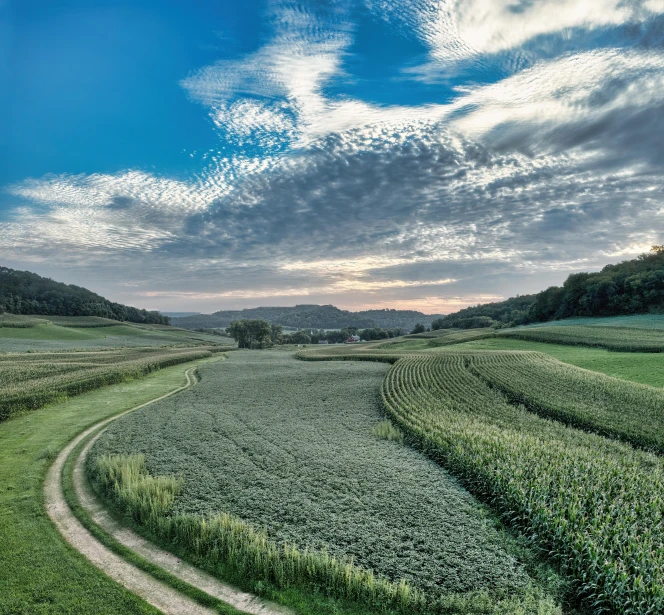 a road leads into the distance surrounded by a vast field