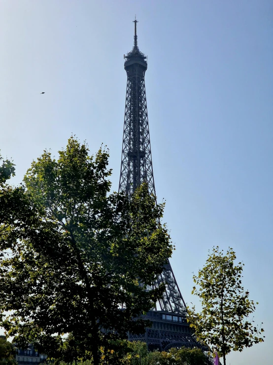 a very tall tower rises above some trees