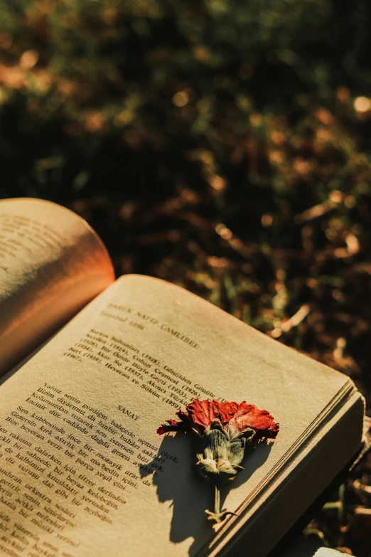 a book with a flower on it laying open