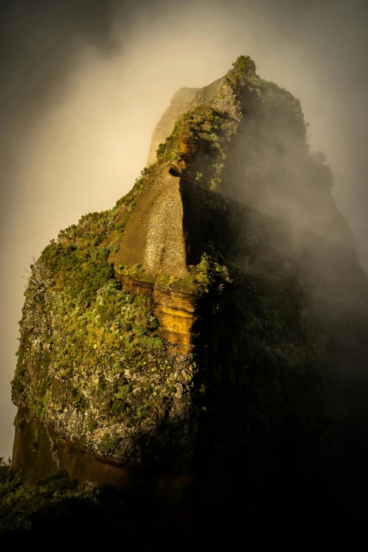 a mountain covered in a green moss and mist